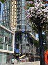 IMG_5943.jpeg