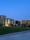 IMG_8748.jpeg