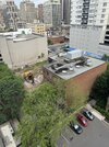 IMG_0780.jpeg