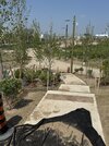 IMG_3699.jpeg