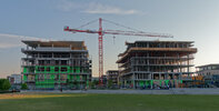 IMG_1453exp.jpg