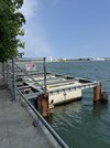 IMG_3947.jpeg