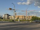 IMG_3038.jpeg