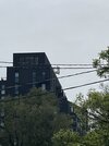 IMG_5683.jpg