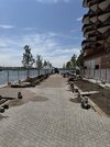 IMG_0969.jpeg