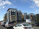 IMG_3024.jpeg