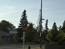 IMG_3029.jpeg