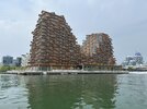 IMG_9955.jpeg