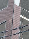 IMG_7620.jpeg