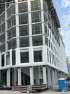 IMG_7623.jpeg