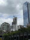 IMG_4373.jpeg
