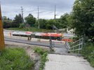 IMG_4737.jpeg
