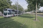 rotterdam_greentramtracks_000-1024x679.jpg