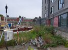 20250611_183058.jpg