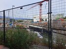 20250611_183113.jpg