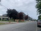 IMG_8146.JPG