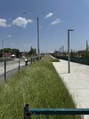 IMG_1531.jpeg