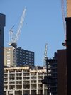 DSC05639.JPG