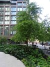DSC05650.JPG