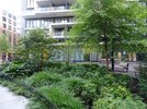 DSC05652.JPG