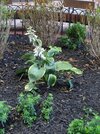 DSC05658.JPG