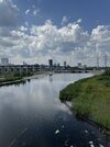 IMG_9039.jpeg