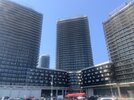 IMG_8260.JPG
