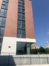 IMG_8251.JPG