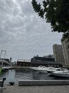 IMG_1717.jpeg