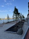 IMG_1739.jpeg