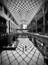 IMG_3282.jpeg