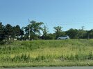 IMG_0279.jpeg
