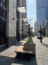 IMG_0449.jpeg