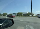 IMG_0305.jpeg