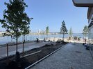 IMG_0520.jpeg