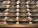 IMG_0516.jpeg