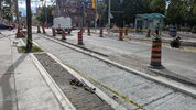 PXL_20250717_214403078.jpg