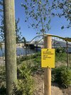 IMG_3166.jpeg