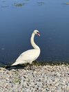 IMG_3250.jpeg
