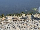 IMG_3253.jpeg