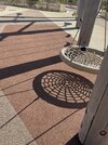 IMG_3265.jpeg