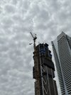 IMG_5230.jpeg