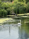 IMG_3584.jpeg