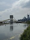 IMG_3575.jpeg