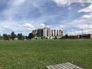 IMG_5437.jpeg