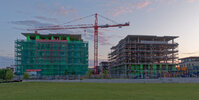 IMG_3780exp.jpg