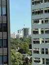 IMG_8430.jpeg