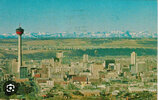 IMG_9756.jpeg