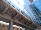 DSC05741.JPG