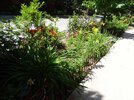 DSC05797.JPG